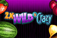 2x Wild & Crazy