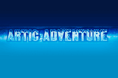 Arctic Adventure
