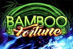 Bamboo Fortune