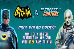 Batman & Mr. Freeze Fortune