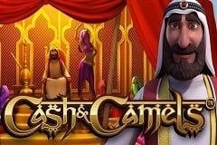 Cash & Camels