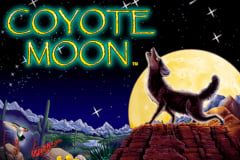 Coyote Moon