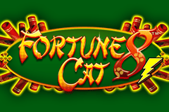Fortune 8 Cat