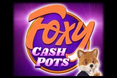 Foxy Cashpots