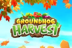 Groundhog Harvest