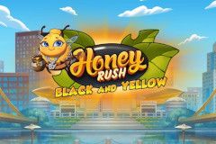 Honey Rush Black and Yellow