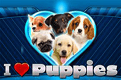 I Heart Puppies