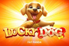 Lucky Dog