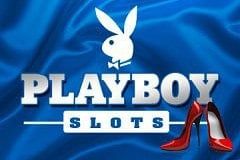 Playboy Hot Zone