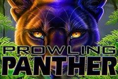 Prowling Panther