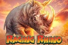 Raging Rhino