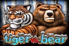 Tiger vs Bear