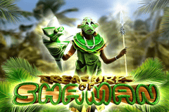 Treasure of Shaman