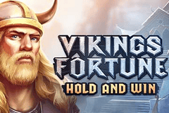 Vikings Fortune: Hold and Win