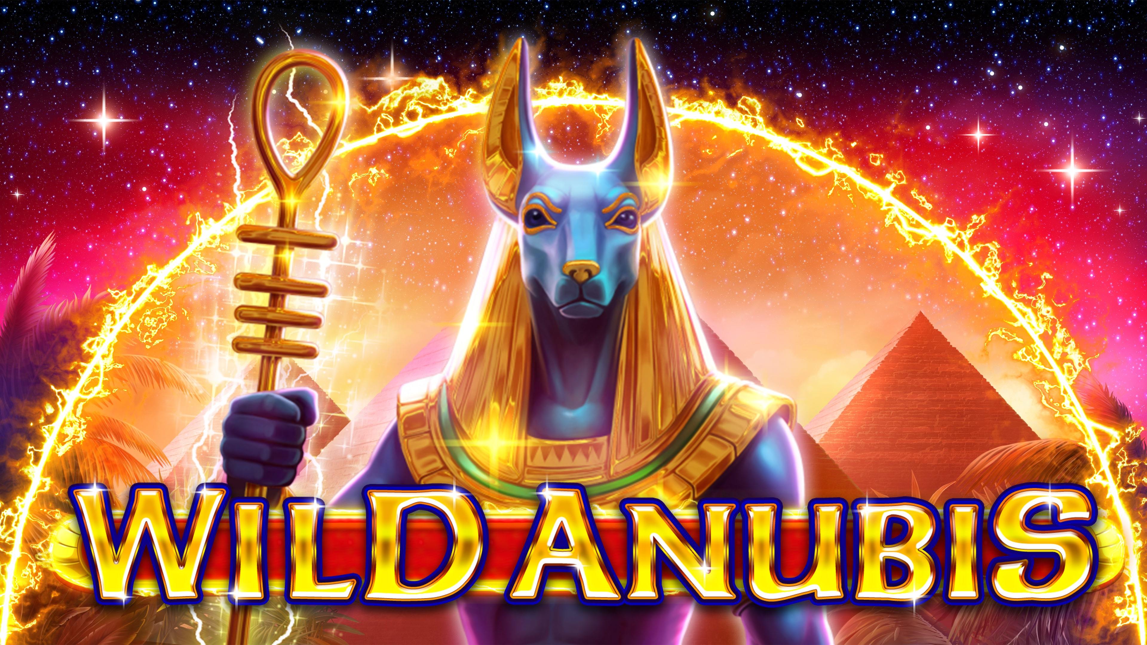 Wild Anubis